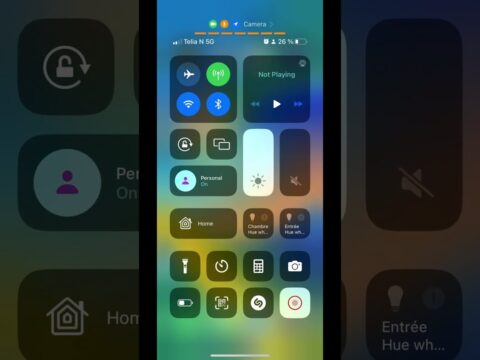 what does the green circle mean on find my iphone